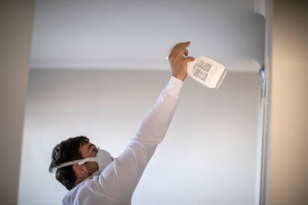 Best Toxic Mold Removal  in Cold Spring Harbor, NY